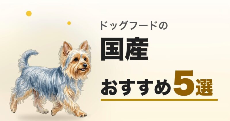 国産ドッグフード おすすめ5選